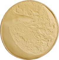 Salty Caramel gelato